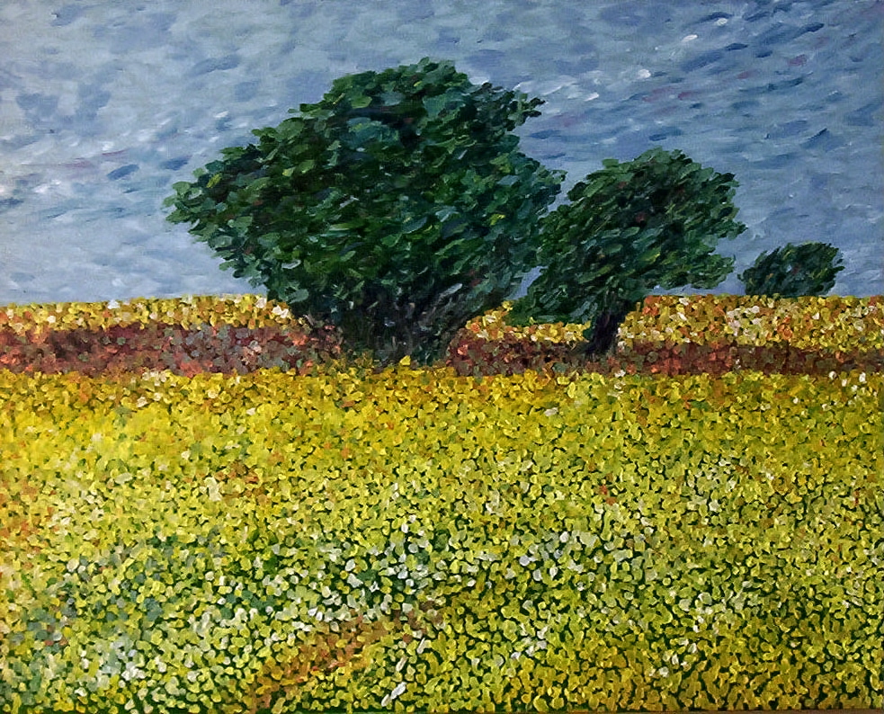 yellow_field.JPG